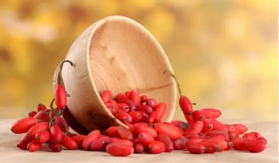 Berberine extract